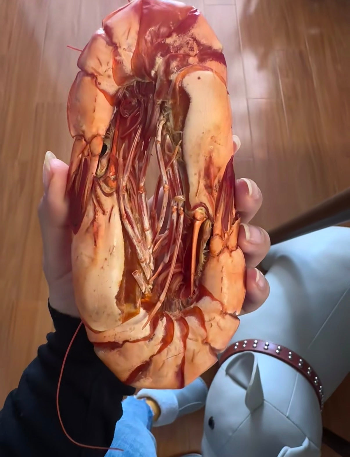 Top-grade / Grilled Dried Shrimp